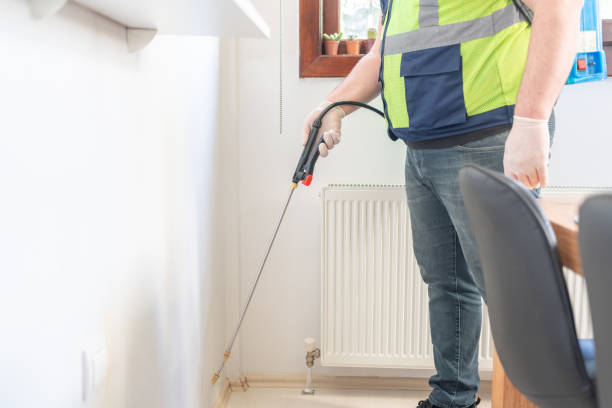 Best Pest Inspection Near Me  in North New Hyde Park, NY