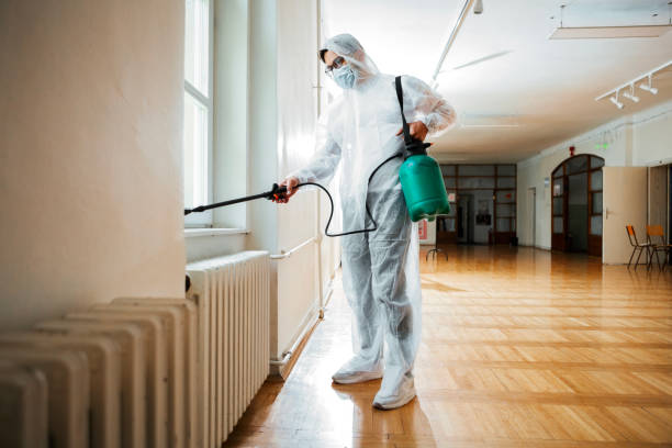 Best Mosquito Control Services  in North New Hyde Park, NY